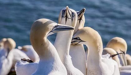 开云首页登录-新闻中心推动数字化转型升级，数字化转型 新闻