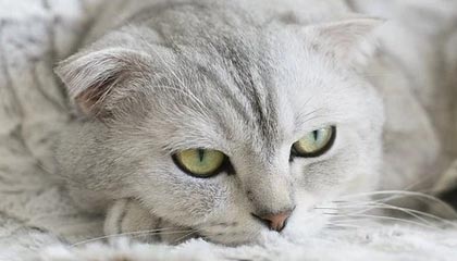 开云首页登录-新闻中心推动数字化转型升级，数字化转型 新闻